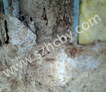 ½ݼͥb޺ôA(y)ρM(jn)ݷֳ